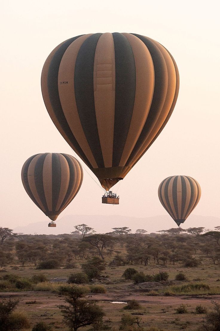 Hot air balloon over the Serengeti at sunrise