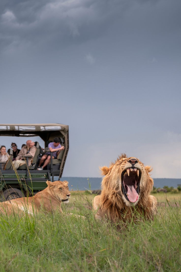 Ruaha Wild Escape safari — Ruaha National Park